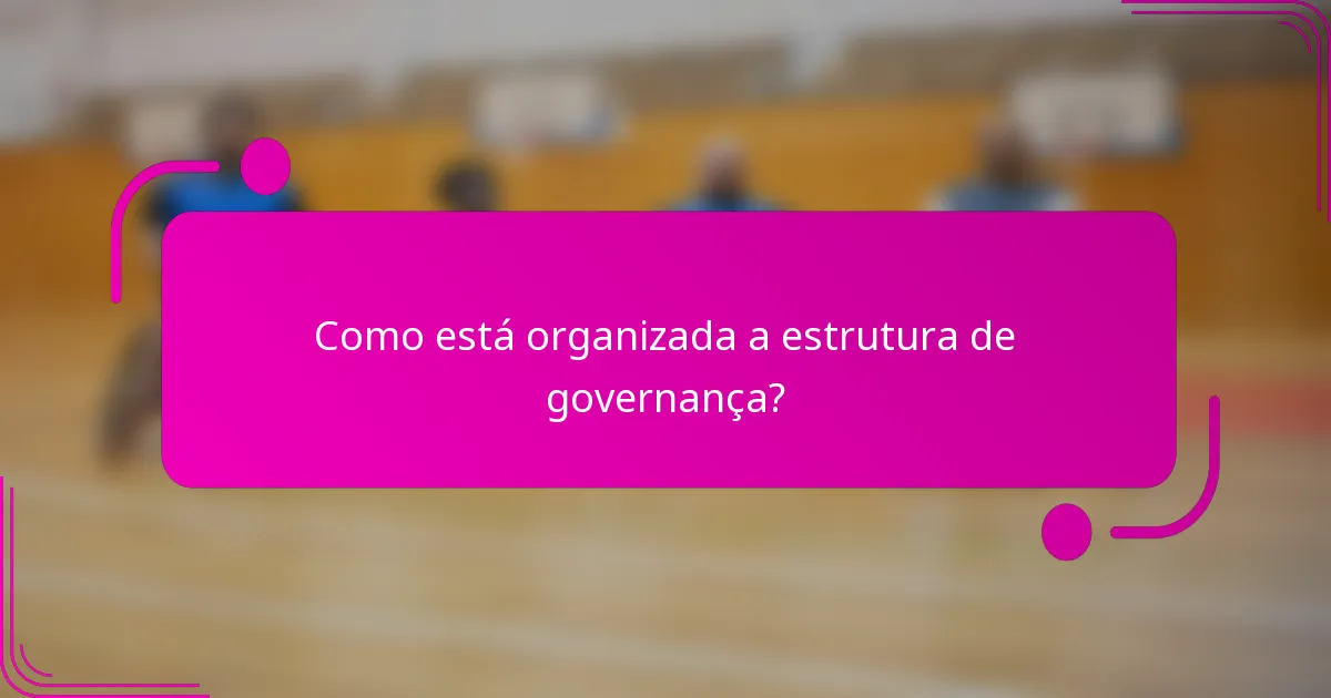 Como está organizada a estrutura de governança?