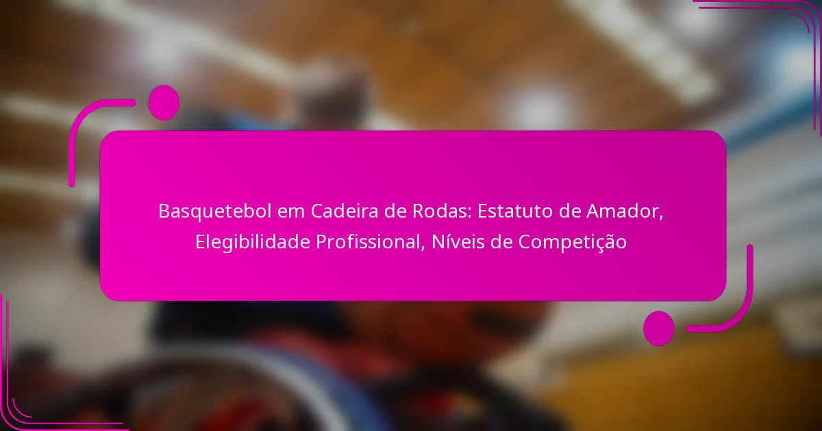 Basquetebol em Cadeira de Rodas: Estatuto de Amador, Elegibilidade Profissional, Níveis de Competição
