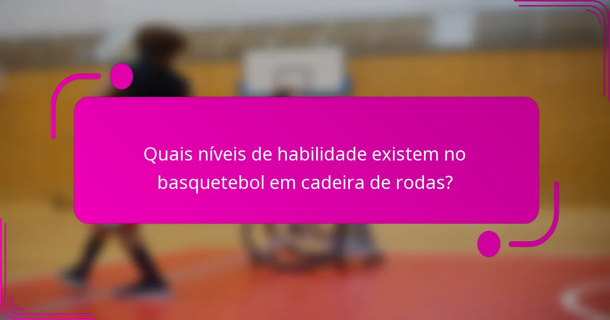 Quais níveis de habilidade existem no basquetebol em cadeira de rodas?